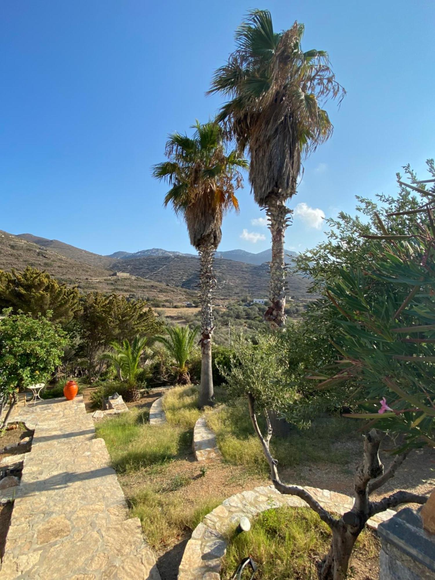Apaggio Apartments Κατάπολα Εξωτερικό φωτογραφία